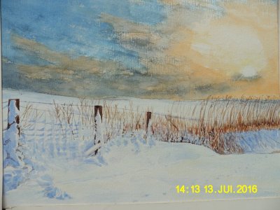 les vosges sous la neige.JPG